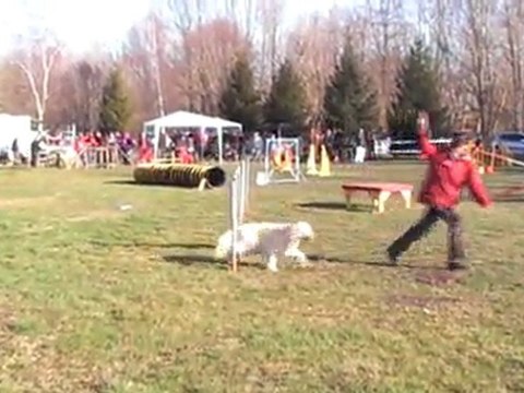 POINTIS DE RIVIERE CERISE OPEN