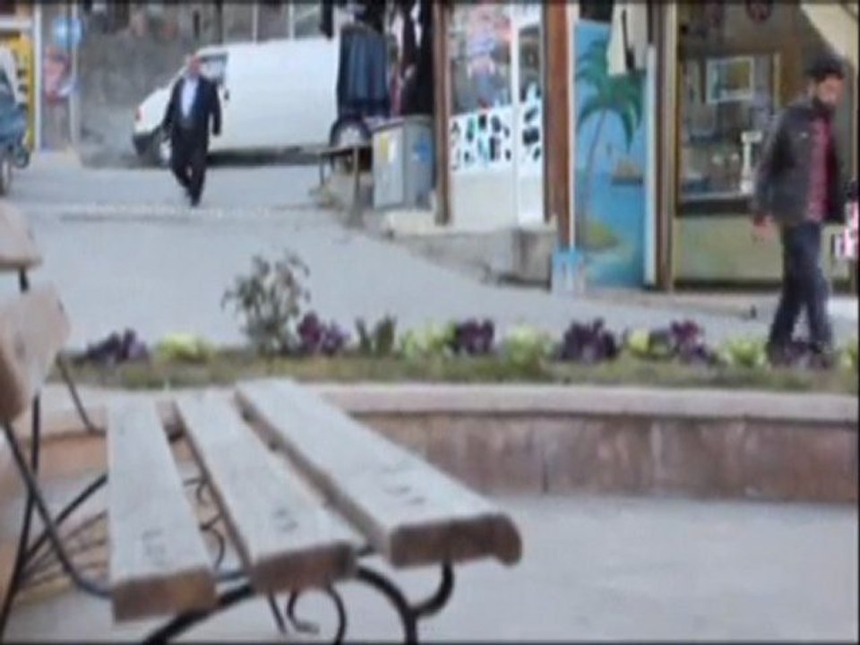 Tarkan Kış Güneşi