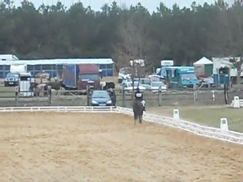 Dressage CCE de St mars, le 11.03.12, Poney 2 , 2e/13
