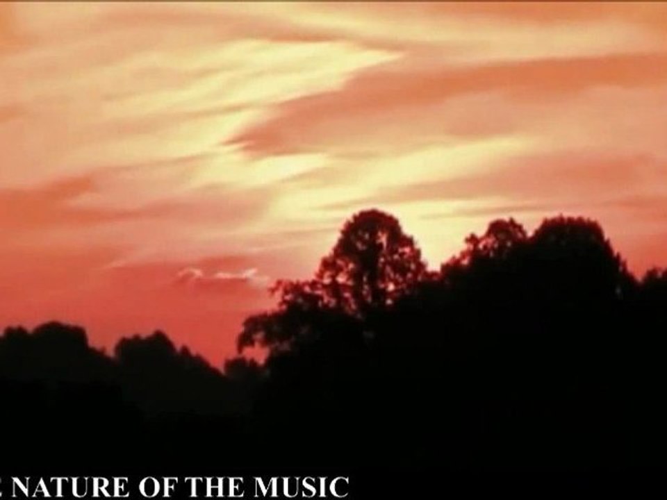 THE NATURE OF THE MUSIC - Now Comes The Night