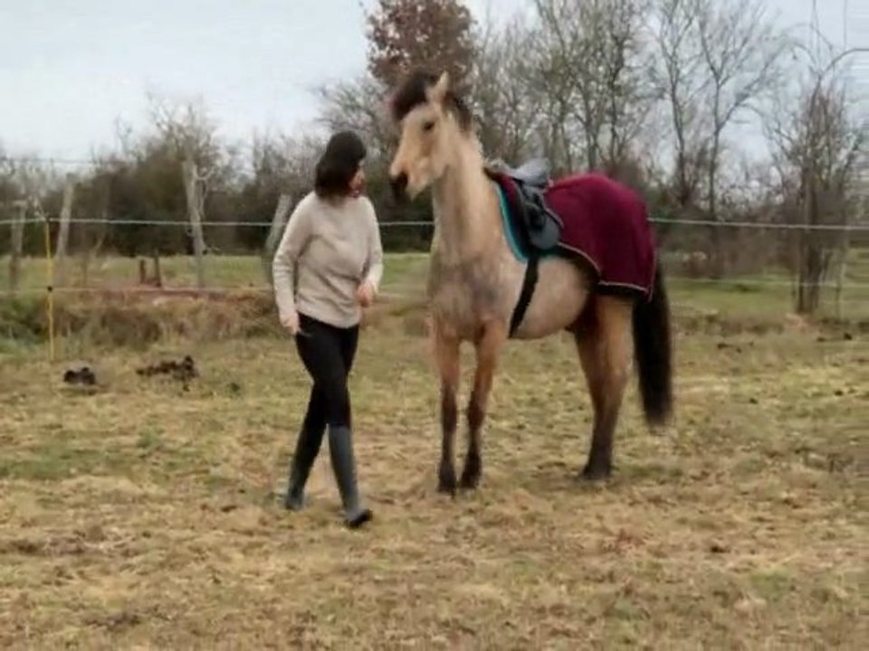 Odyssée Février 2012