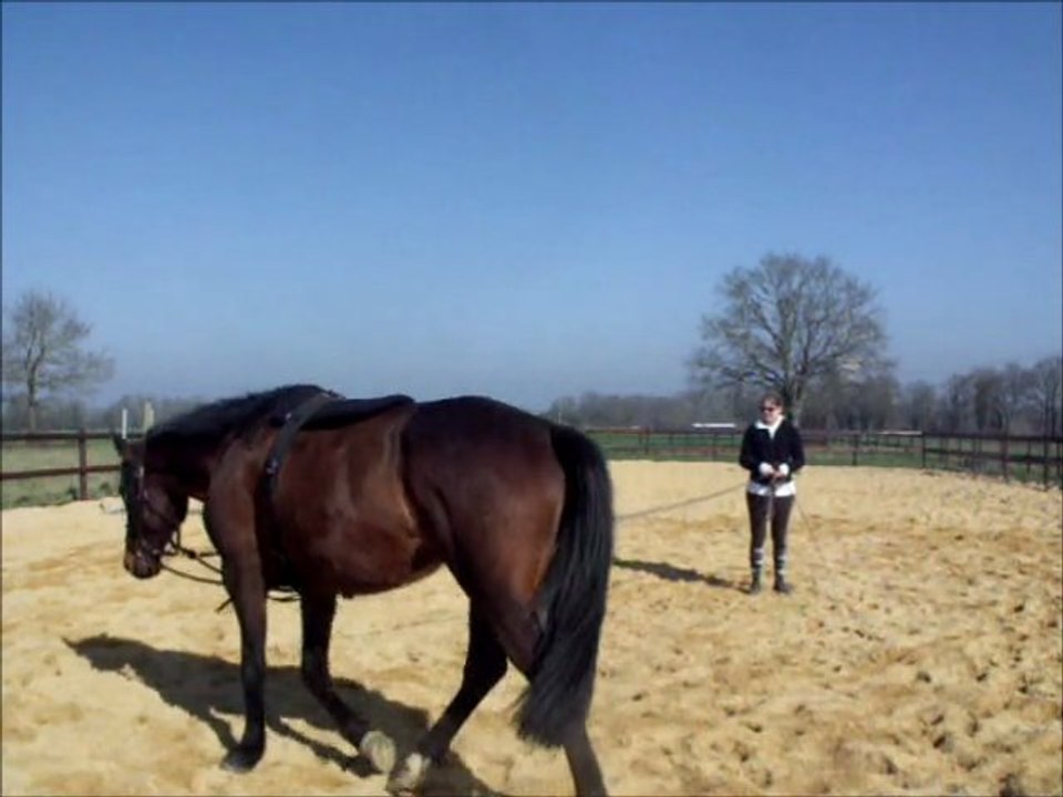 Séance longe du 13 mars 2012