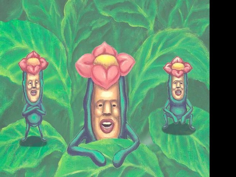 こびとづかん Video Dailymotion