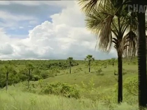 Kampf der säbelzähne [Spätes Pliozän_ vor 1_5 Mio. Jahren] Teil 2 von 2