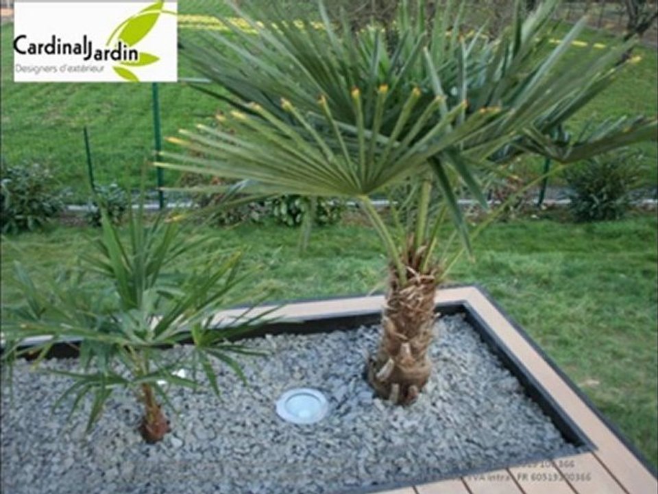 Terrasse bois composite ardoise et palmier  pour une terrasse contemporaine