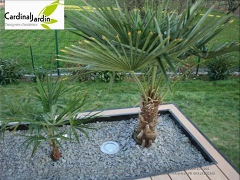 Terrasse bois composite ardoise et palmier pour une terrasse contemporaine