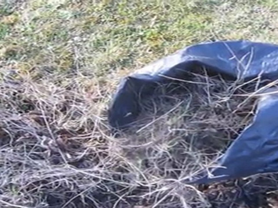 A2-B2 Hörverstehen Unkraut wird entsorgt