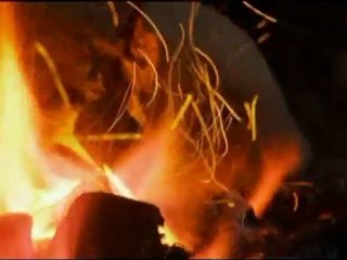 Les .mystère  des Bog Mummies