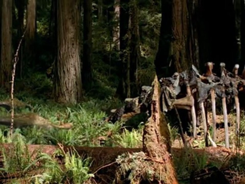 Caminando entre Dinosaurios 02- La era de los titanes