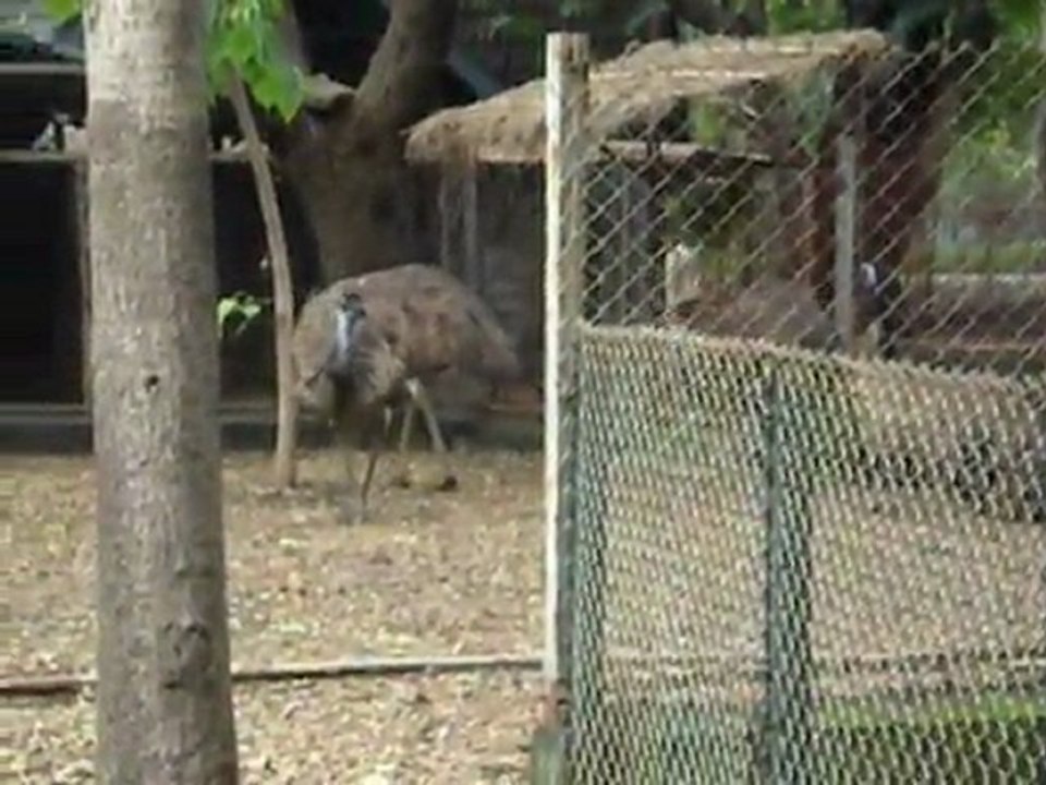 Jaipur zoo