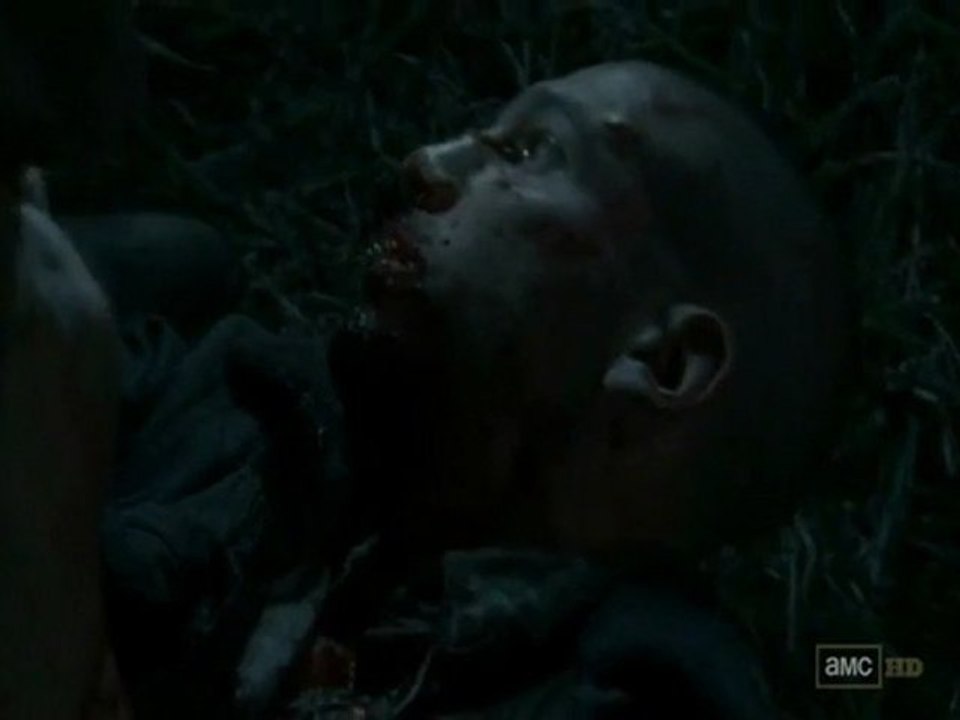 The Walking Dead Muerte de Shane + Stand Alone (OST MW3)