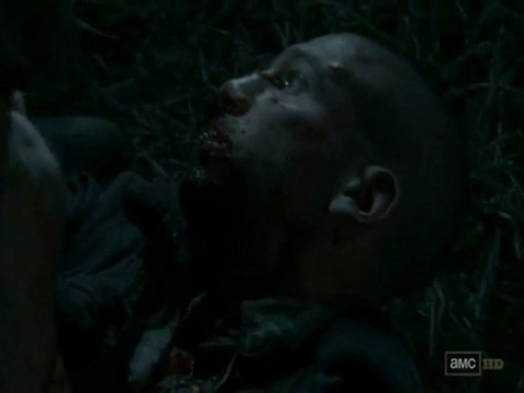 The Walking Dead Muerte de Shane + Stand Alone (OST MW3)