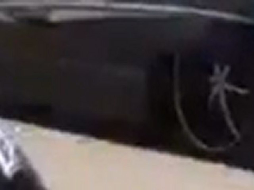WWW.CARTUNINGREVOLUTION.COM