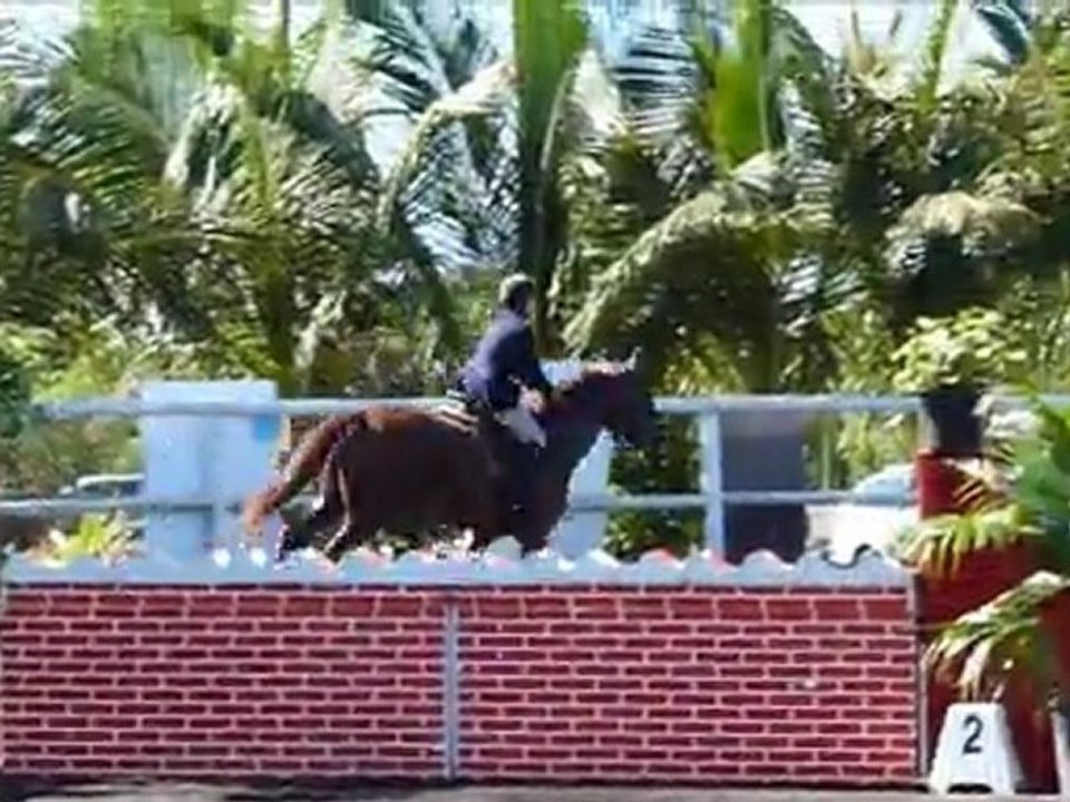 Nickel & Vanille - 110 vitesse