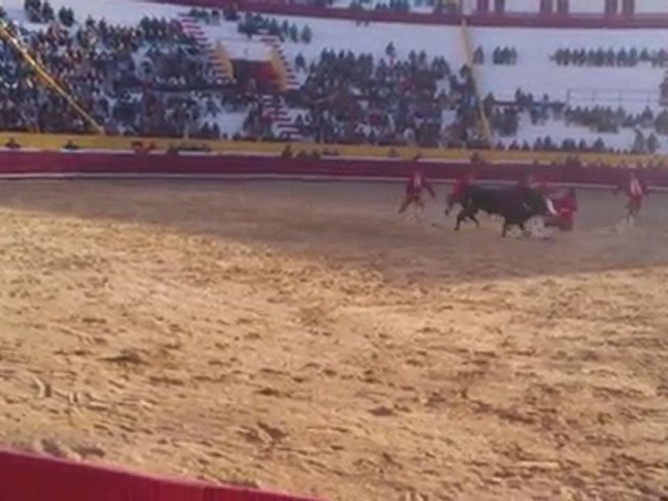 MOV_0050