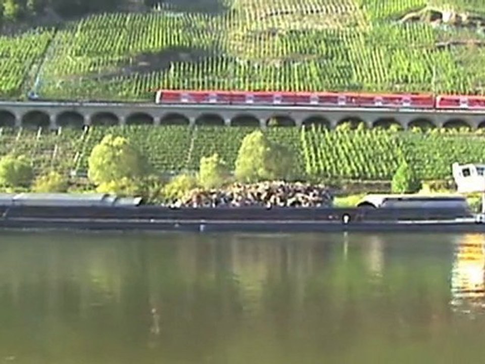 Hangviadukt Pünderich a.d. Mosel, BR181, BR294, SNCF Prima, BR185, BR628, BR143, BR425, BR426