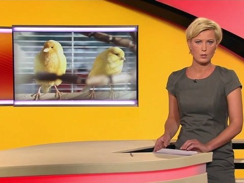 Kamilla Senjo 14.02.2012