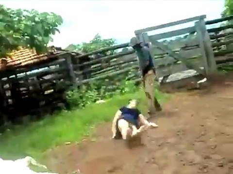Une femme se prend un méchant coup de pied d'une vache qui vient de veler