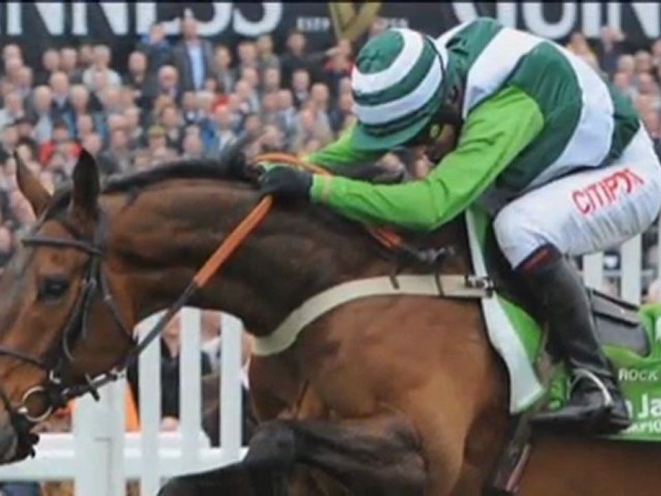 Cheltenham Festival: Sprinter Sacre triumphiert im Arkle