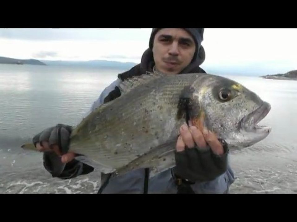 Natex 2012 HQ