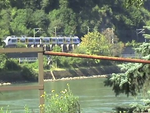 Bahnen zwischen Loreley und Roßstein, WLB Taurus, BR155, BR101, 3x BR185, BR460, BR427, 2x BR428