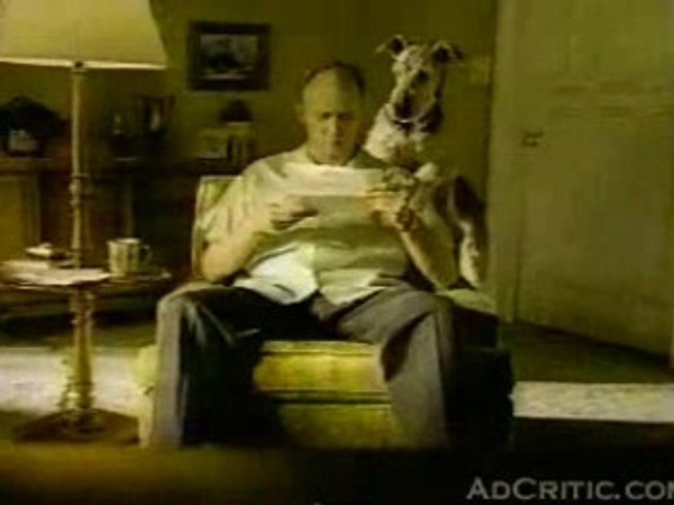 Geico - Laughing dog