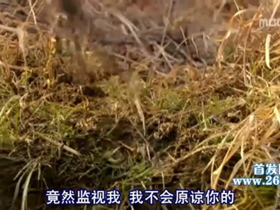 聽聽我的心01B