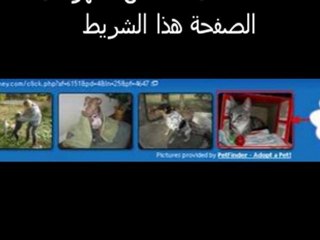 ربح حقيقي مع الشركة الاسطورة clixsence