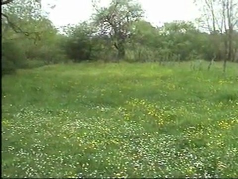 mektup selam söyle benden gurbete