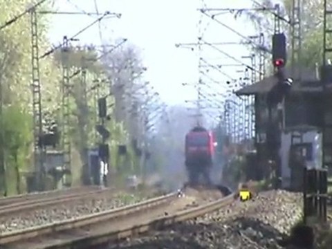 Hammerstein, RTB BR185, NIAG Re481, BR152, BR145, Railion BR185, DBAG BR185, BR143, BR425