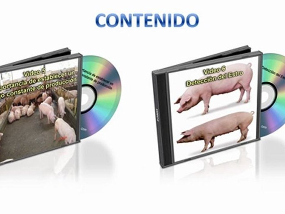 pack-videos