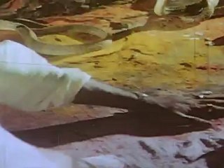 Mappillai Vanthachu - Villain Gets Killed By Snake