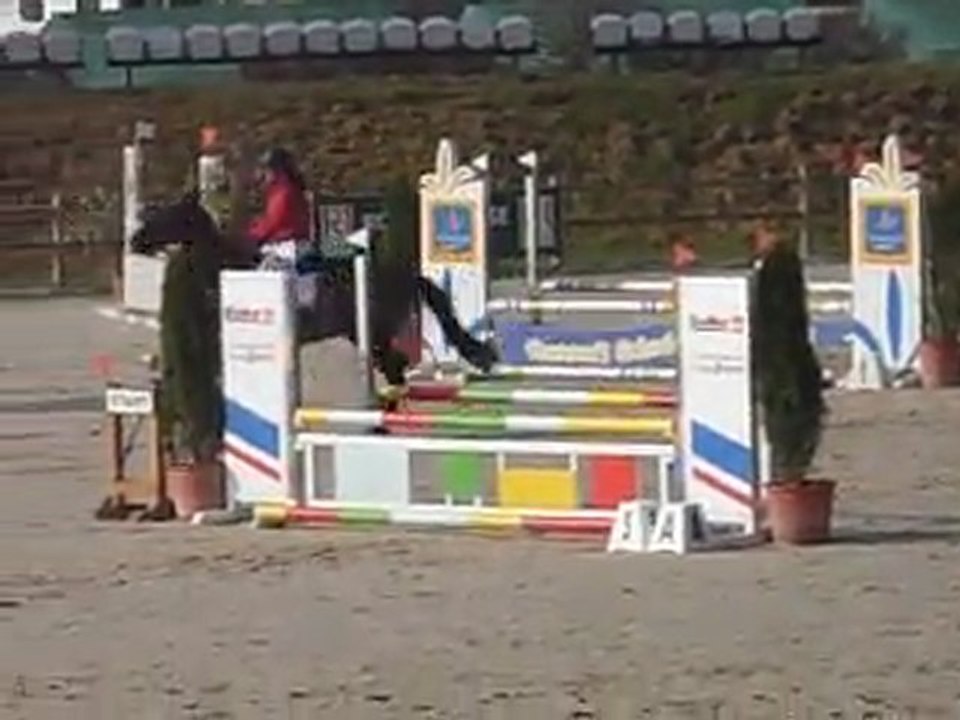 Udelia du Lary CC CSO Sandillon mars 2012 2ème jour