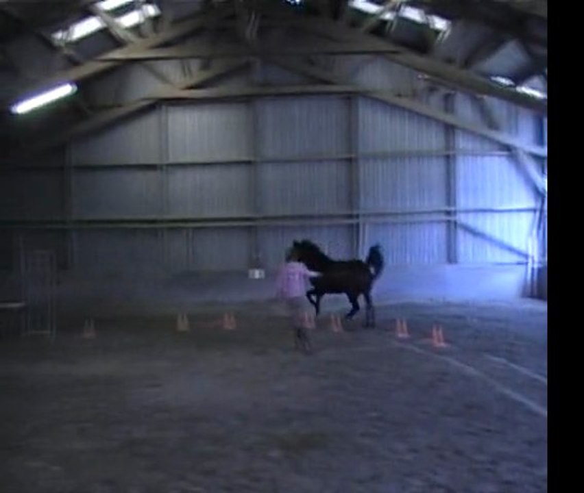 vivaldi  d'ivin 14 mars 2012