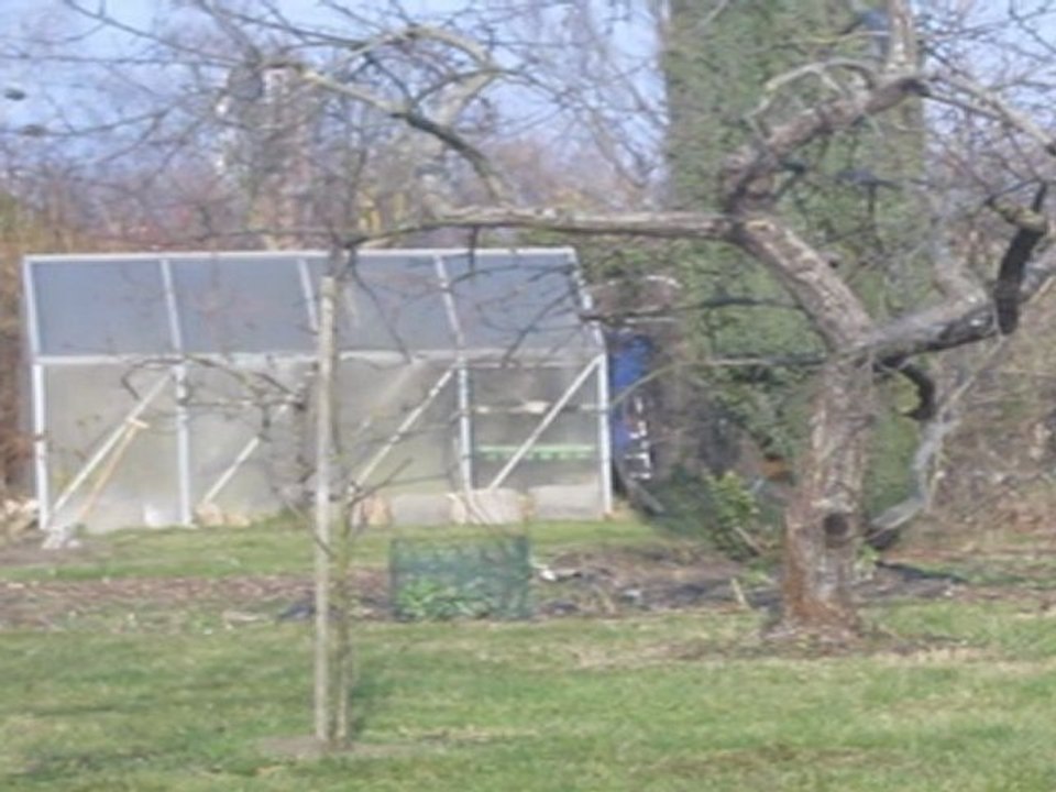 A2-B2 Hörverstehen Apfelbaum