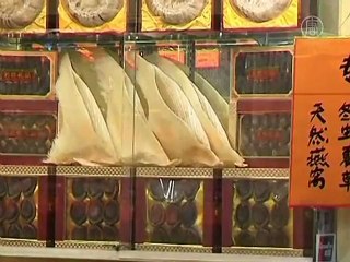 Hong Kong's Shark Fin Trade Draws Protest from Activists