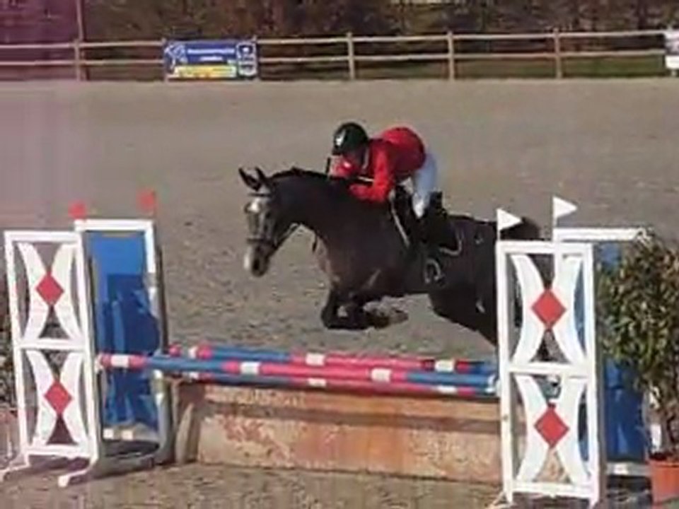 Ultime de Barbereau CC CSO Sandillon mars 2012 2ème jour