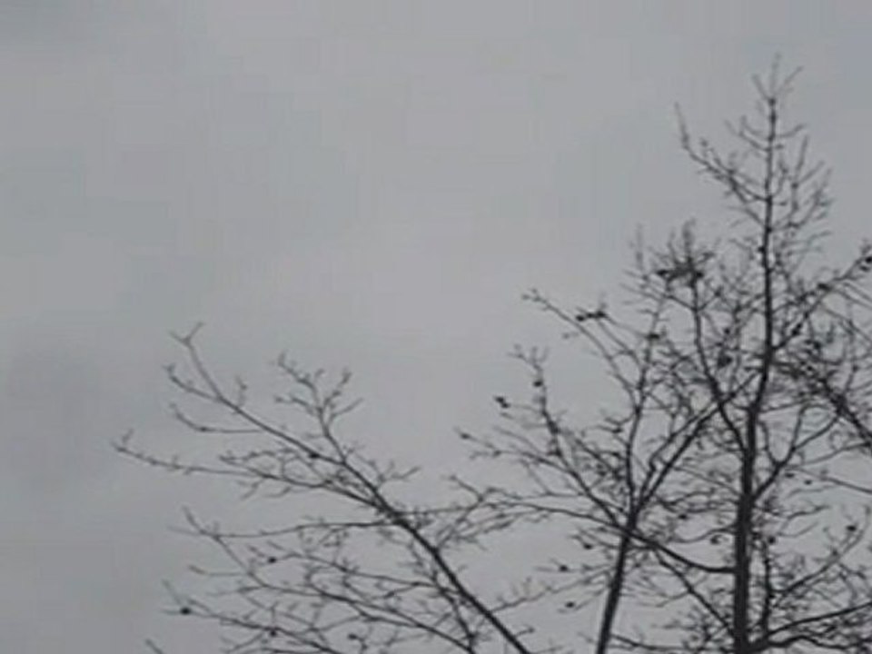 B2-DSH-Vorbereitung Textproduktion zum Thema Lärm