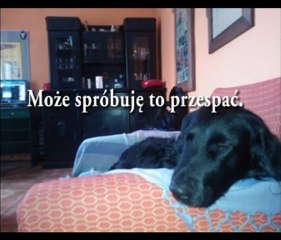 Zadanie specjalne orange