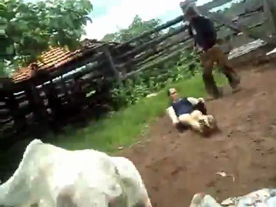 La vache, ça c'est direct dans tes dents !