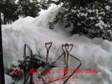 猪爪トシ子_1月 - 2月, 2012年自宅周りの雪