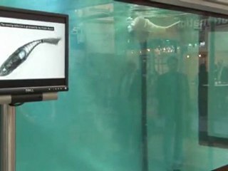 Biyonik balık - 1 - Festo www.kumanda.org