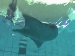 Biyonik balık - 5 - Festo www.kumanda.org