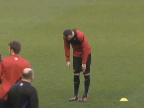 ManUnited: Ferguson kann Berbatow nichts garantieren