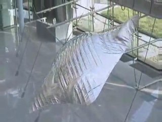 Biyonik balık - 6 - Festo www.kumanda.org