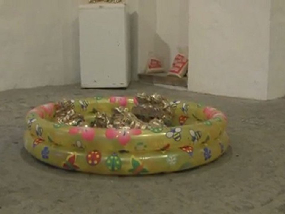 la gran rana detalle