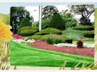 Might You Now Have A Stunning Yard By Utilizing An Ocala Landscaping Company?
