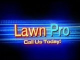 Get Your Weekends Back Call Lawn Pro Lawn Service 757-453-7632 in Virginia Beach - Chesapeake