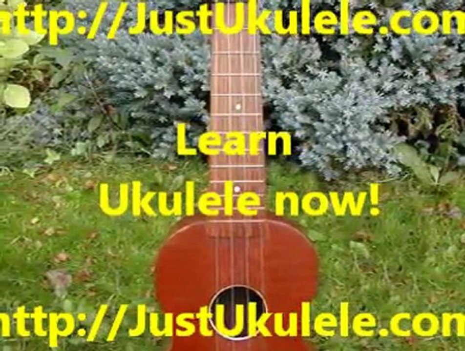 hawaiian ukulele chords tutorial