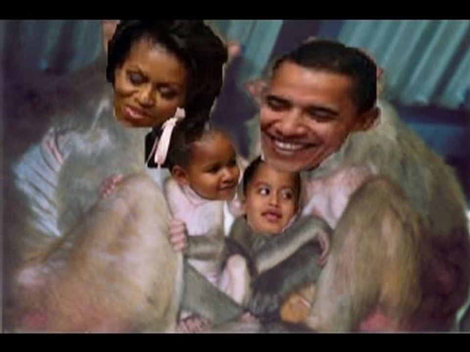 In the Obama Jungle